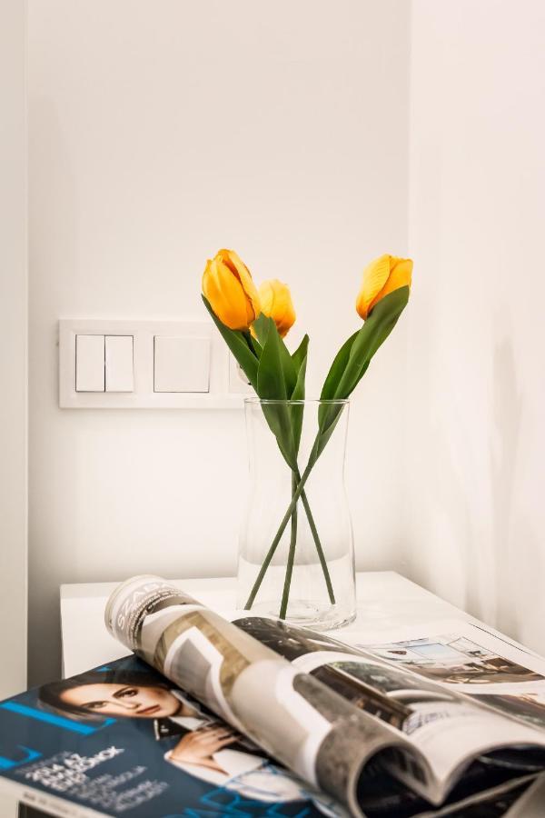 Cosy Studios In The Heart Of The City 布达佩斯 外观 照片